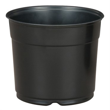DLN 05.50 RND AZ TRAD COEX BLK/BLK 496/CS 32CS/PL