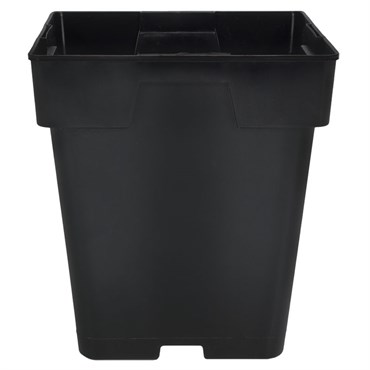 DLN 05.50 SQ JUMBO T/W TL  BLK 288/CS 36CS/PL
