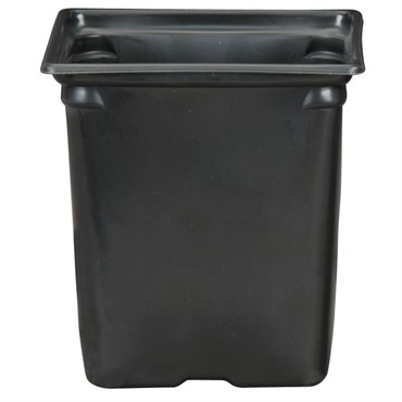 DLN M6 SQ COEX  BLK/BLK 468/CS 36CS/PL