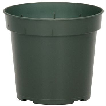 DLN 04.50 RND GER T/W 300GN        850/CS 38CS/PL