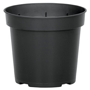 DLN 04.50 RND GER  T/W      BLK 850/CS 38CS/PL