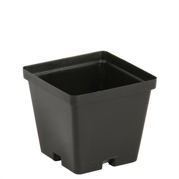 DLN 04.00 SQK04001G  T/W TL BLK 846/CS 32CS/PL