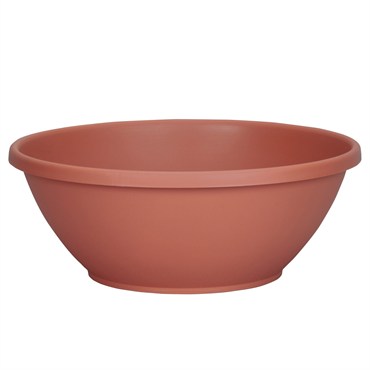 DLN 12.00 COLOR BOWL  CL 42/CS 48CS/PL