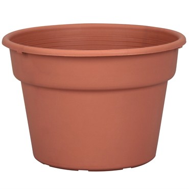 DLN 08.00 COLOR POT TL CL 58/CS 60CS/PL