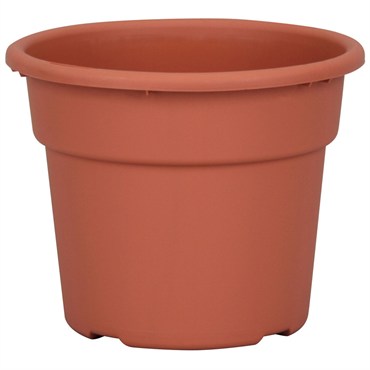 DLN 06.00 COLOR POT TL  CL 98/CS SEASONAL 66CS/PL