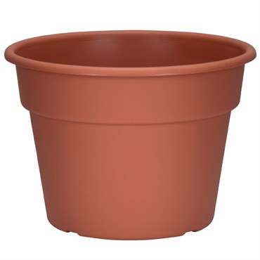 DLN 10.00 COLOR POT 1      CL 58/CS 32CS/PL