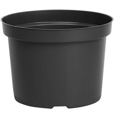 DLN 09.00X06.50 MUMPAN T/W BLK 54/CS 60CS/PL