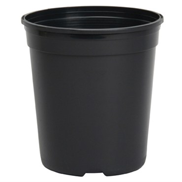 DLN TRADE 01.00GL TL T1G 2     BLK 128/CS 48CS/PL