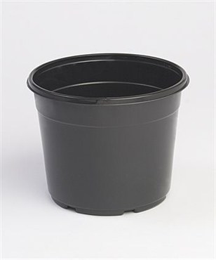 Landmark 06.50 Round Azalea Maxi Grow Coex Black 240/Cs X-65Amgt
