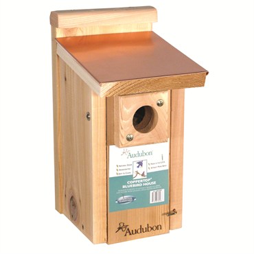 Audubon Copper Top & Cedar Bluebird House
