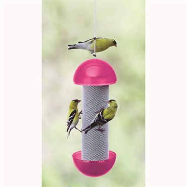 Have-A-Ball 12pc 12oz Finch Feeder Shelf Box Display