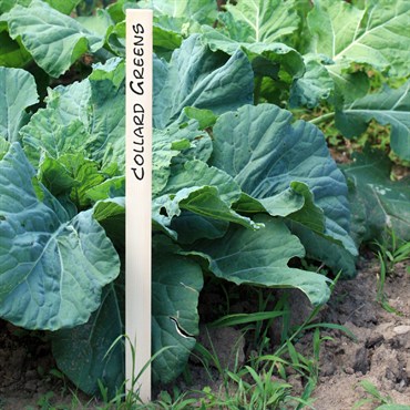 DPI 100/24x1-3/8x1/4" Natural Wood Field Stakes