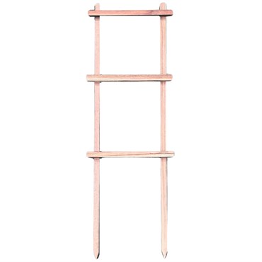 A&G 12"x22" Espalier Natural