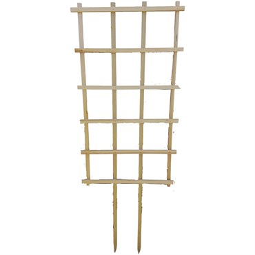 A&G 22"x40" Espalier