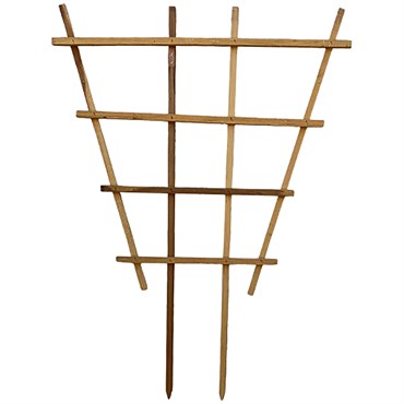 A&G 3'x4' Fan Espalier Trellis