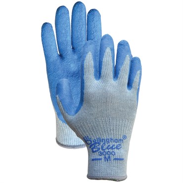 BGC Premium Latex Glove XS Blue