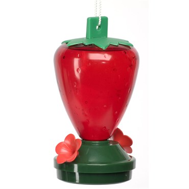 Audubon 12oz Strawberry Hummingbird Feeder