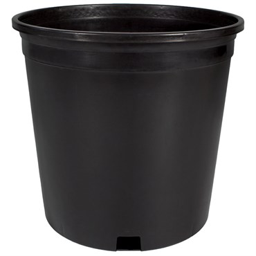 HC #2 2 Gallon Nursery Container Black 50 per Bundle