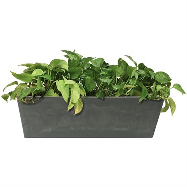 Algreen Valencia 20"x7.5"x7" Window Planter Concrete