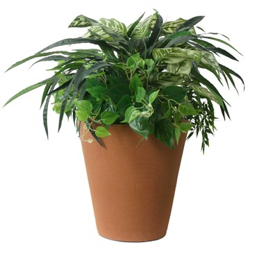 Algreen 16" Olympus Self Water Planter Terra Cotta