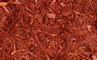 2CF Northern Cedar Mulch Treated Red DBNCM2R
