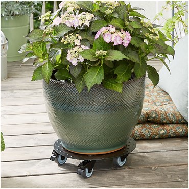 TDI Medium Round Aluminum Plant Caddy Black