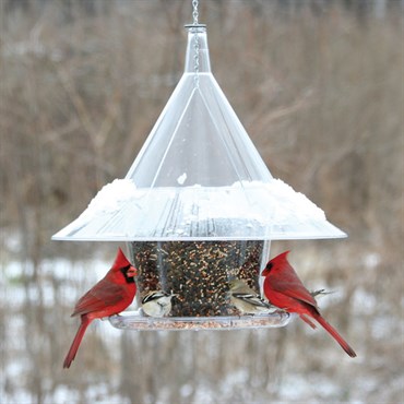 Arundale Sky Cafe Feeder Can Be Hung Or Pole Mounted MADE IN THE USA