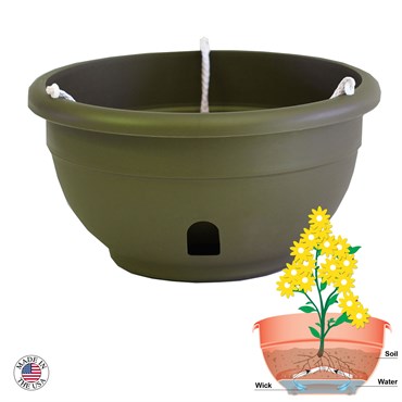 Apollo 12" Eezy Gro Hanging Basket Olive