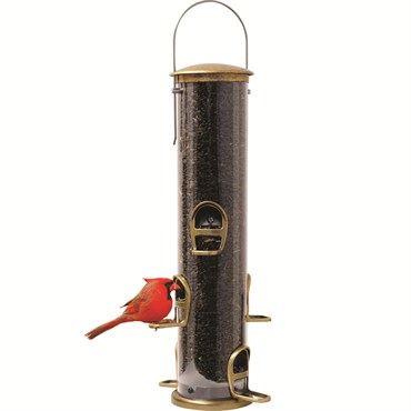 Aspects Quick Clean Big Tube Antique Brass Bfg Supply