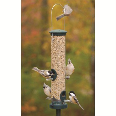 Aspects Medium Spruce Quick Clean Tube Seed Feeder