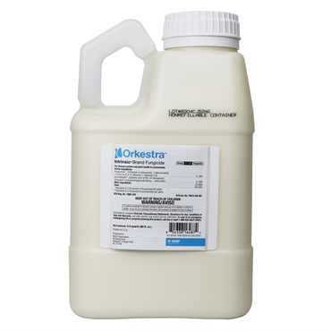 BASF Orkestra Intrinsic 80oz AGENCY (4/Cs) LTD QTY ( fluxapyroxad + pyraclostrobin )