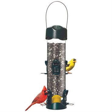 Brome Bird Care 6"x18.5" Brome Mega 600