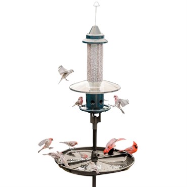 Brome Bird Care 24"x20"x7" Buster Plus Podium