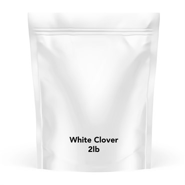 Barenbrug 2# White Clover