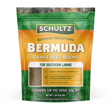 Schultz 1# Bermuda