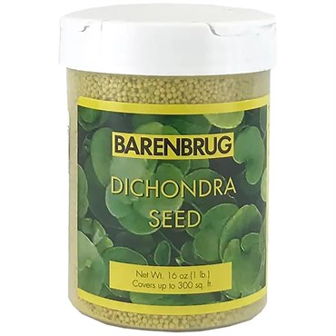 Barenbrug 1# Dichondra