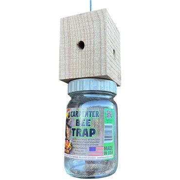 Billy Bob Carpenter Bee Trap