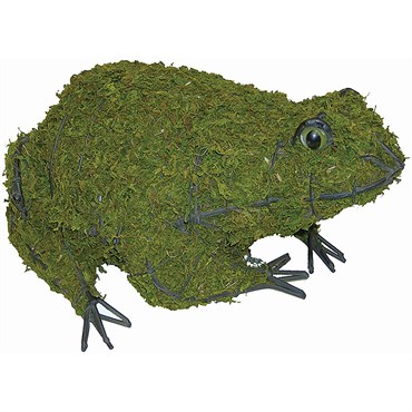 Braun 6" Frog Mossed