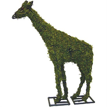 Braun 38" Giraffe Mossed