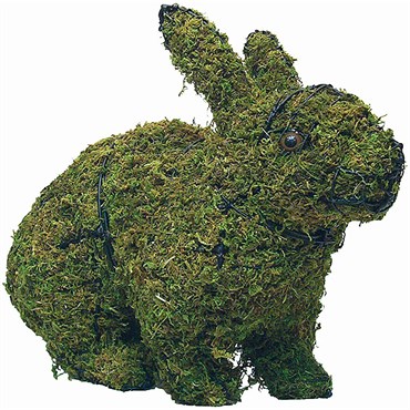 Braun 13" Hopping Rabbit Mossed