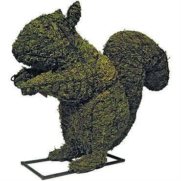 Braun 12" Squirrel Mossed