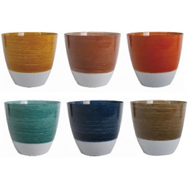 Braun 12" Rainbow Bright