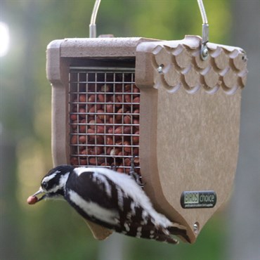 Birds Choice Acorn Shelled Peanut Feeder Recycled Plastic Tan 1# Capacity