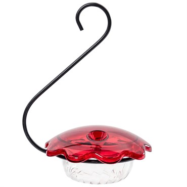 Birds Choice Hummingbird Single Cuphanging