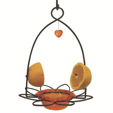 Birds Choice 3oz Oriole Flower Feeder for Jelly & Fruit