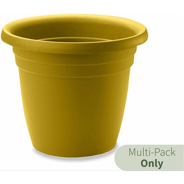 Crescent 10" Emma Planter Sun