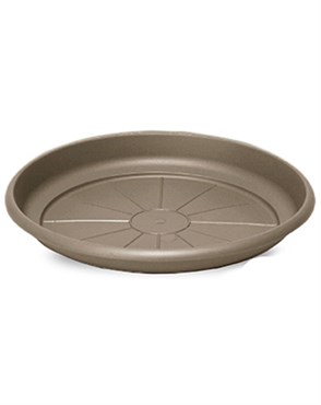 Crescent 13" Emma Saucer Cappuccino