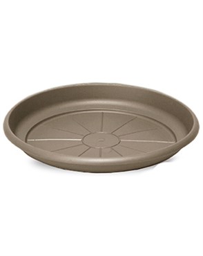 Crescent 8" Emma Saucer Cappuccino