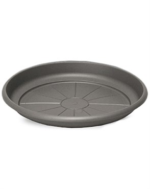 Crescent 8" Emma Saucer Charcoal
