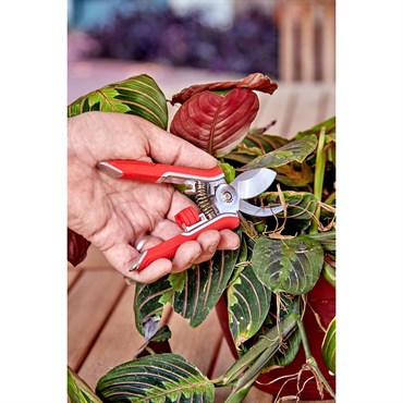 Corona Mini Plant Pruner Red - Image 2